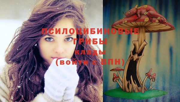 тгк Баксан