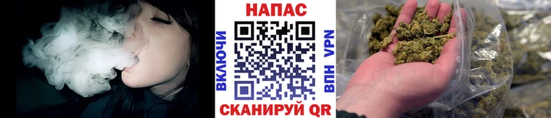 МАРИХУАНА сатива Мезень